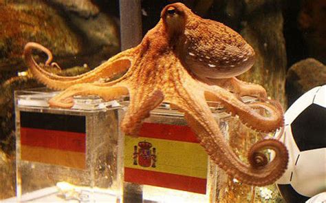 TIL That Paul the Octopus was so precise in his predictions.